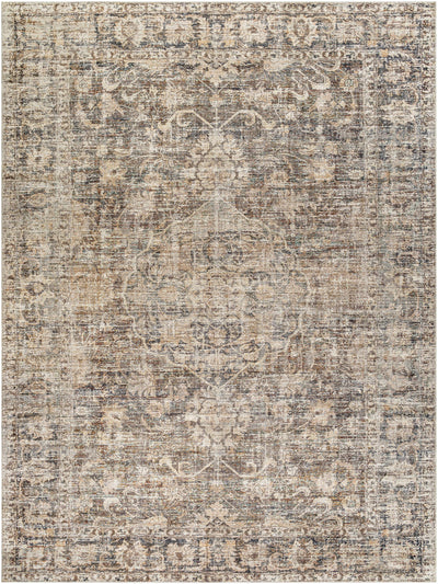 Marlene Medallion Brown Area Rug - Becki Owens x Livabliss