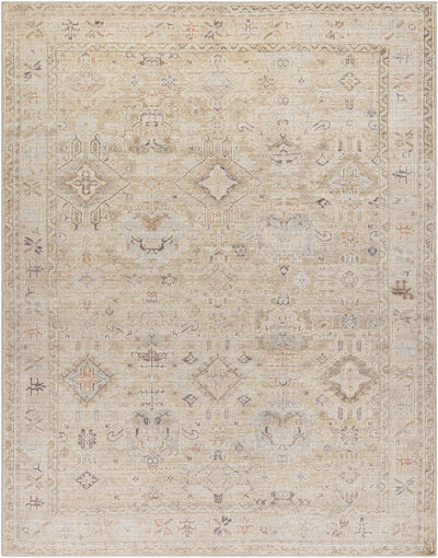 Marlene Damask Light Brown Area Rug - Becki Owens x Livabliss