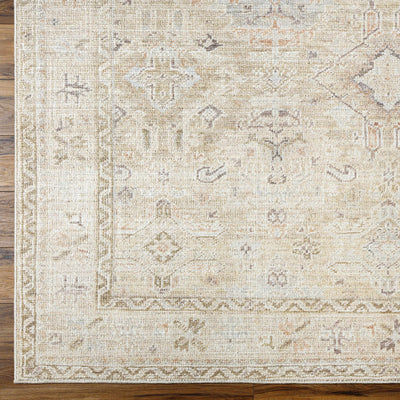 Marlene Damask Light Brown Area Rug - Becki Owens x Livabliss