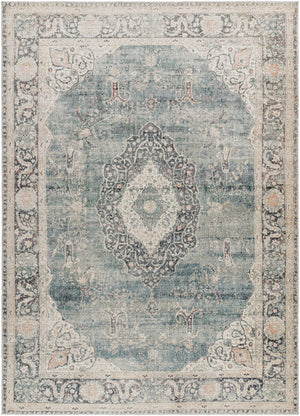 Marlene Medallion Blue Area Rug - Becki Owens x Livabliss