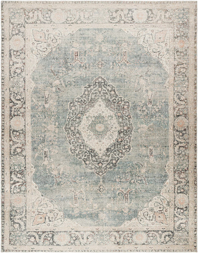 Marlene Medallion Blue Area Rug - Becki Owens x Livabliss