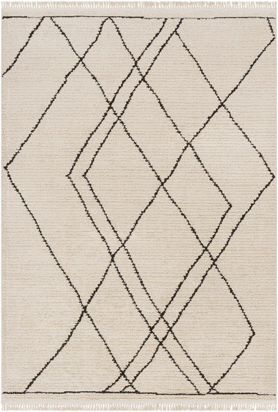 Ausca Area Rug