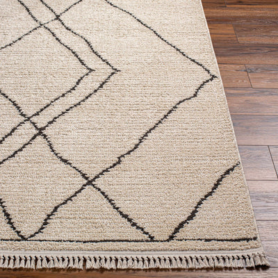 Ausca Area Rug