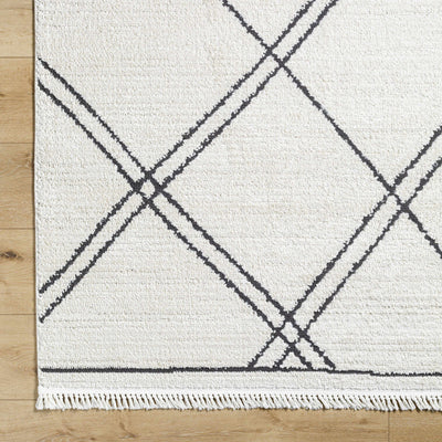 Ausca Area Rug