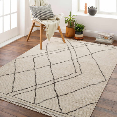 Ausca Area Rug