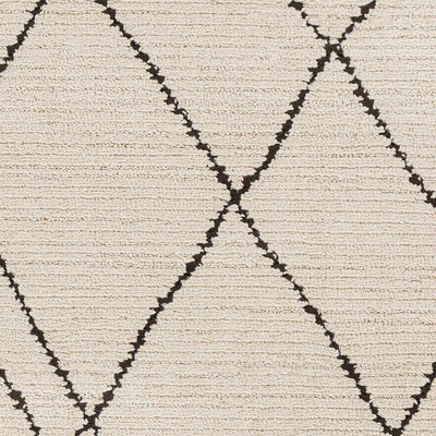 Ausca Area Rug