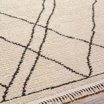 Ausca Area Rug