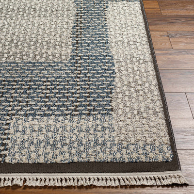 Ezera Area Rug