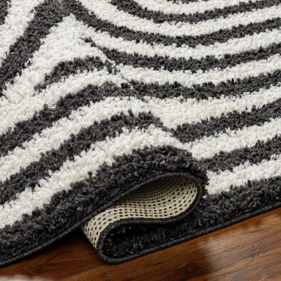 Avent Black & White Area Rug