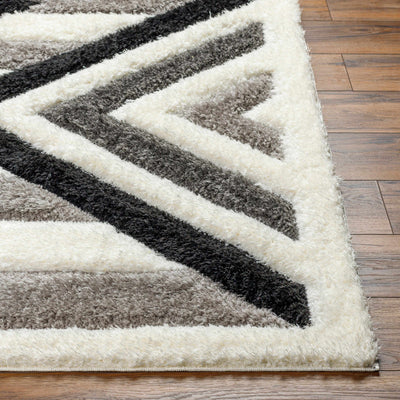 Abeje Black & White Area Rug