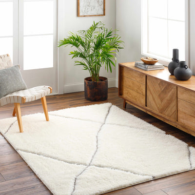 Aizza Area Rug