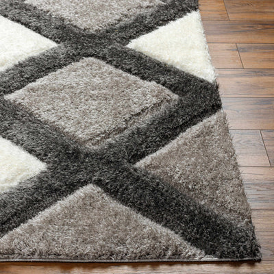 Amias Gray Area Rug