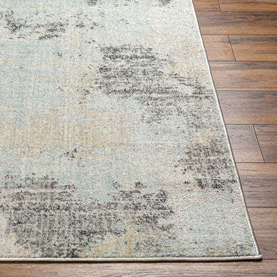 Hinto Area Rug