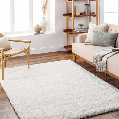 Bluma Cream Area Rug - Clearance