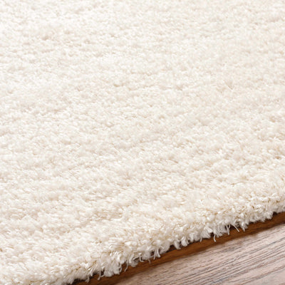 Bluma Cream Area Rug - Clearance