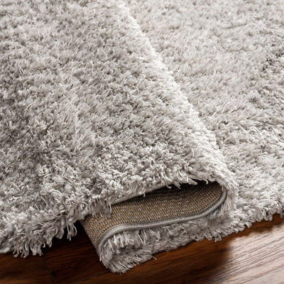 Bluma Light Gray Area Rug - Clearance