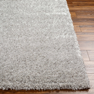 Bluma Light Gray Area Rug - Clearance