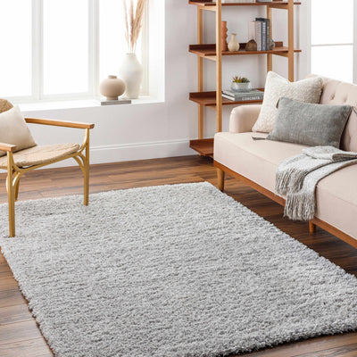 Bluma Light Gray Area Rug - Clearance