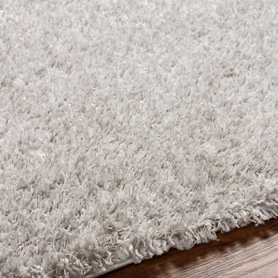 Bluma Light Gray Area Rug - Clearance