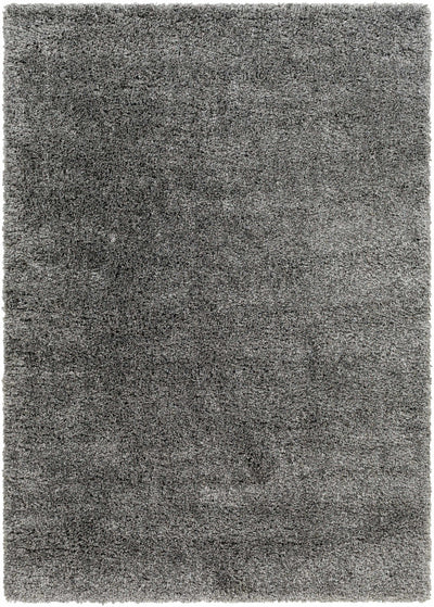 Bluma Gray Area Rug - Clearance