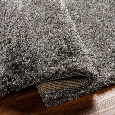 Bluma Gray Area Rug - Clearance