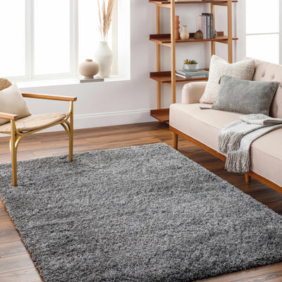 Bluma Gray Area Rug - Clearance