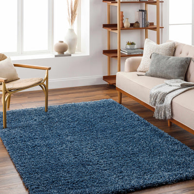 Bluma Solid Blue Plush Rug