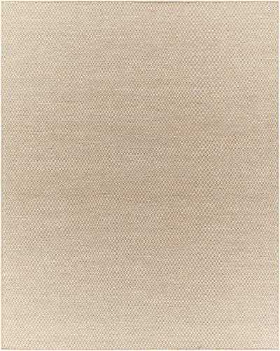 Ayers Beige & Gray Area Rug