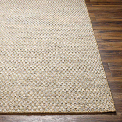 Ayers Beige & Gray Area Rug