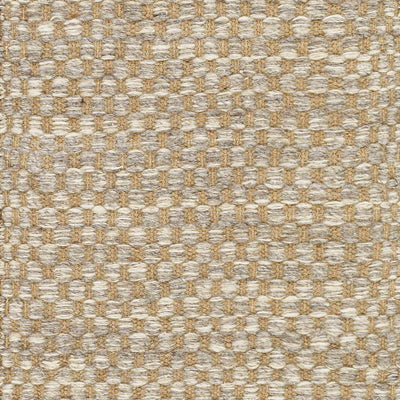 Ayers Beige & Gray Area Rug