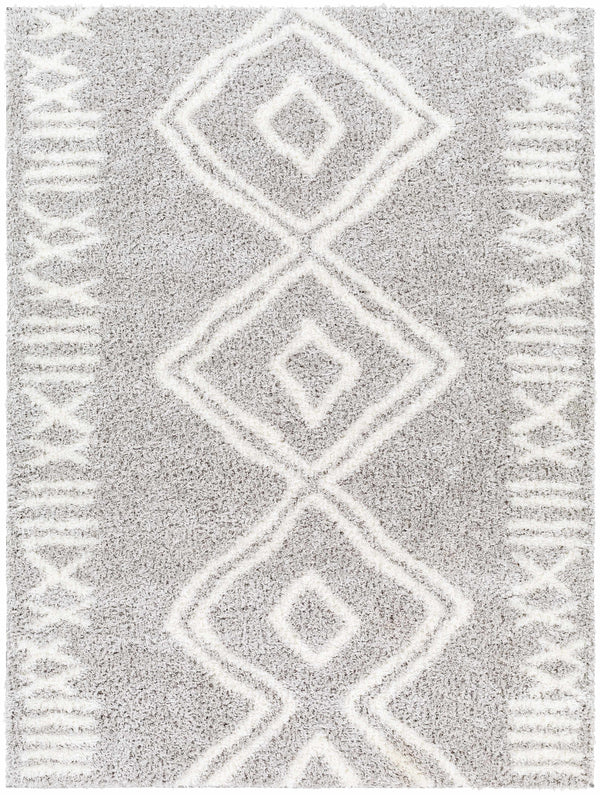 Asael Gray Area Rug