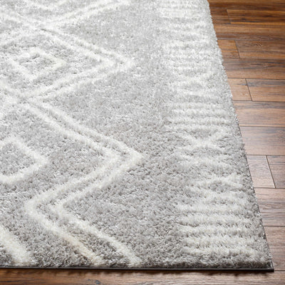 Asael Gray Area Rug