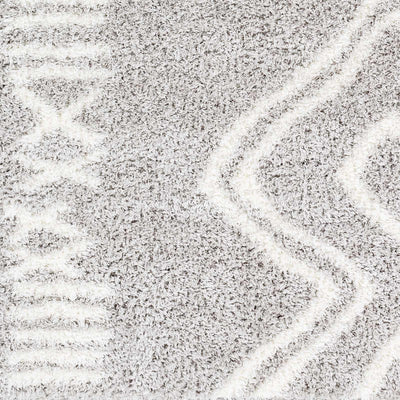 Asael Gray Area Rug