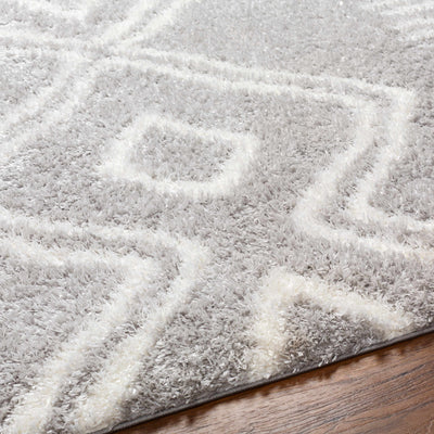 Asael Gray Area Rug