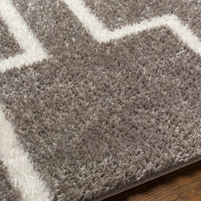 Banu Area Rug - Clearance