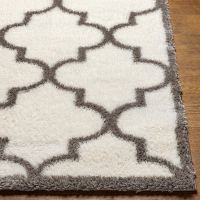 Kyel Area Rug - Clearance