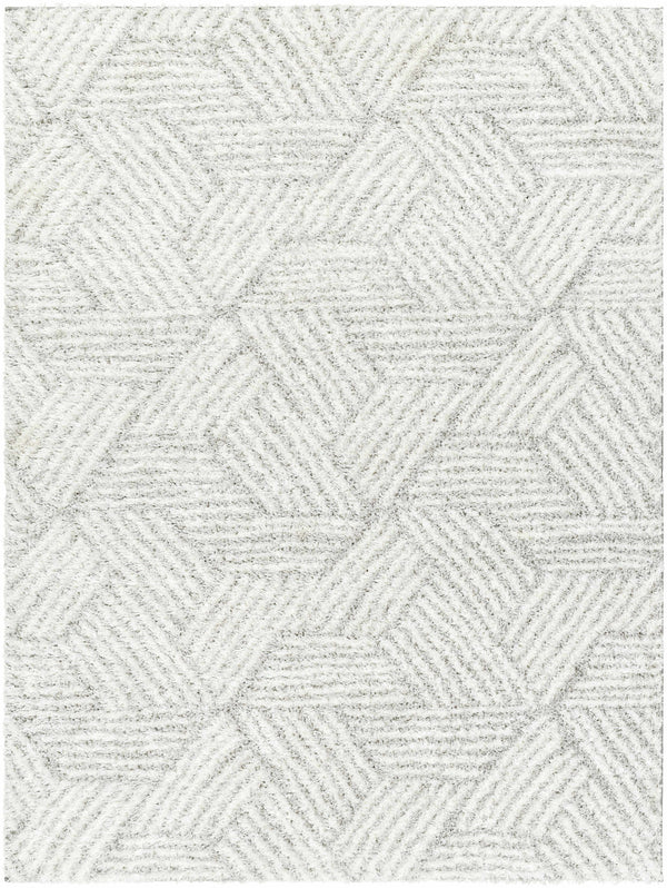 Mura Gray Area Rug