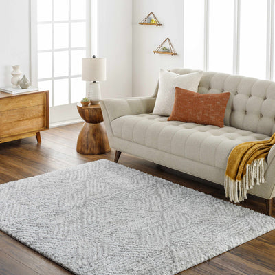 Mura Gray Area Rug