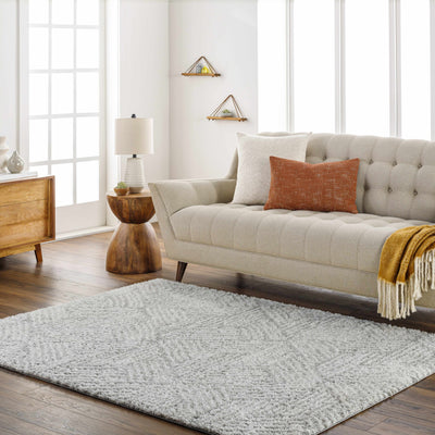 Mura Gray Area Rug