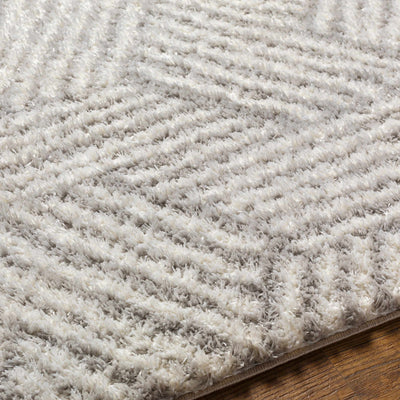 Mura Gray Area Rug