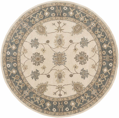 Schenevus Area Rug - Promo