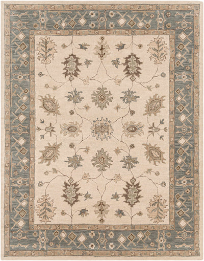 Schenevus Area Rug - Promo