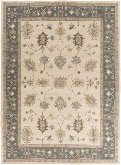 Schenevus Area Rug - Promo