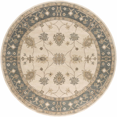 Schenevus Area Rug - Promo