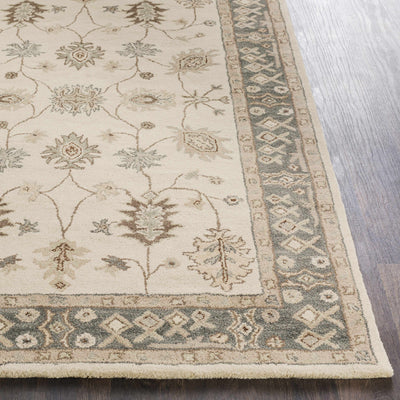 Schenevus Area Rug - Promo