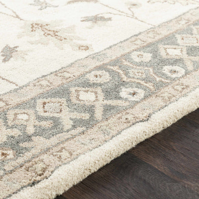 Schenevus Area Rug - Promo