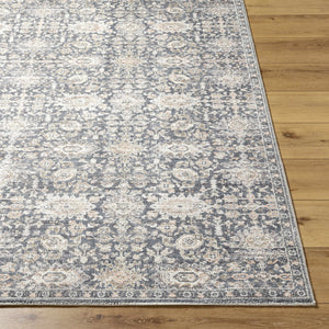 Semaj Area Rug