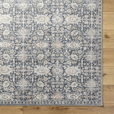 Semaj Area Rug