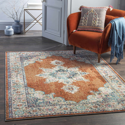 Scotter Area Rug - Clearance