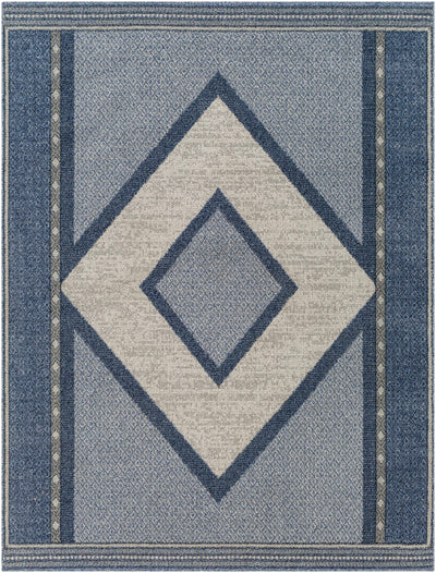 Onan Area Rug - Clearance